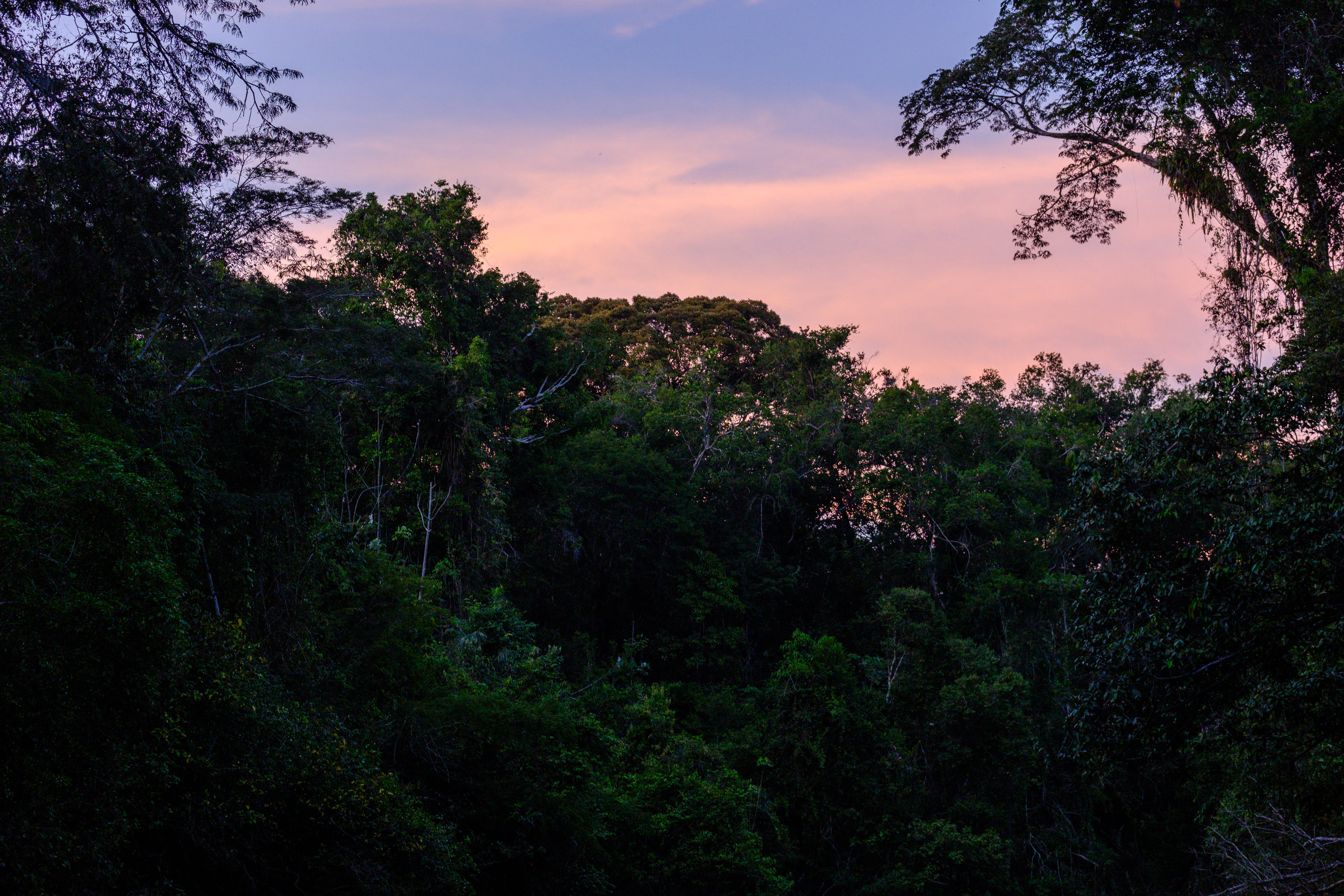 Amazonia, Peru