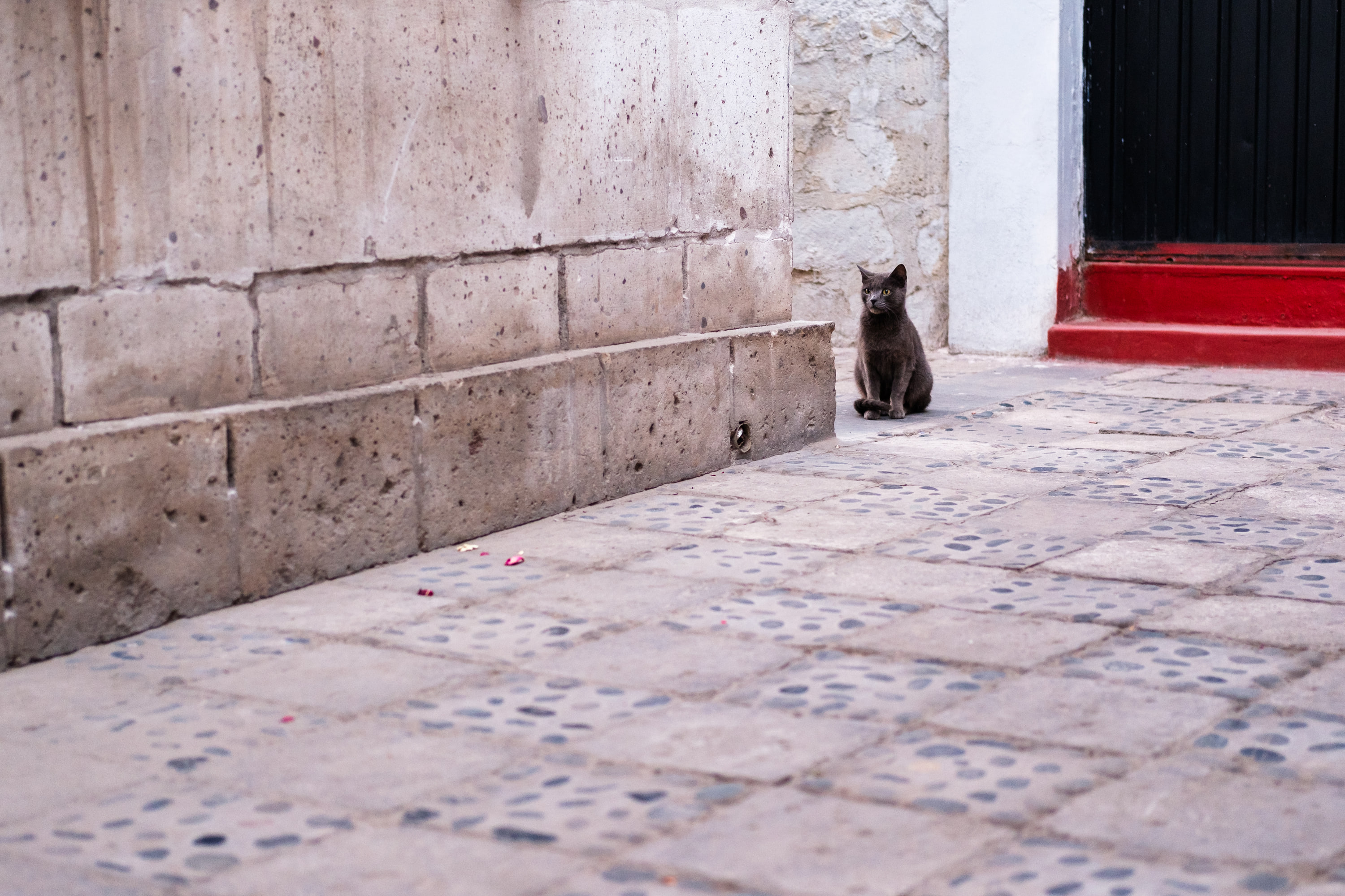 Arequipa and Colca Canyon