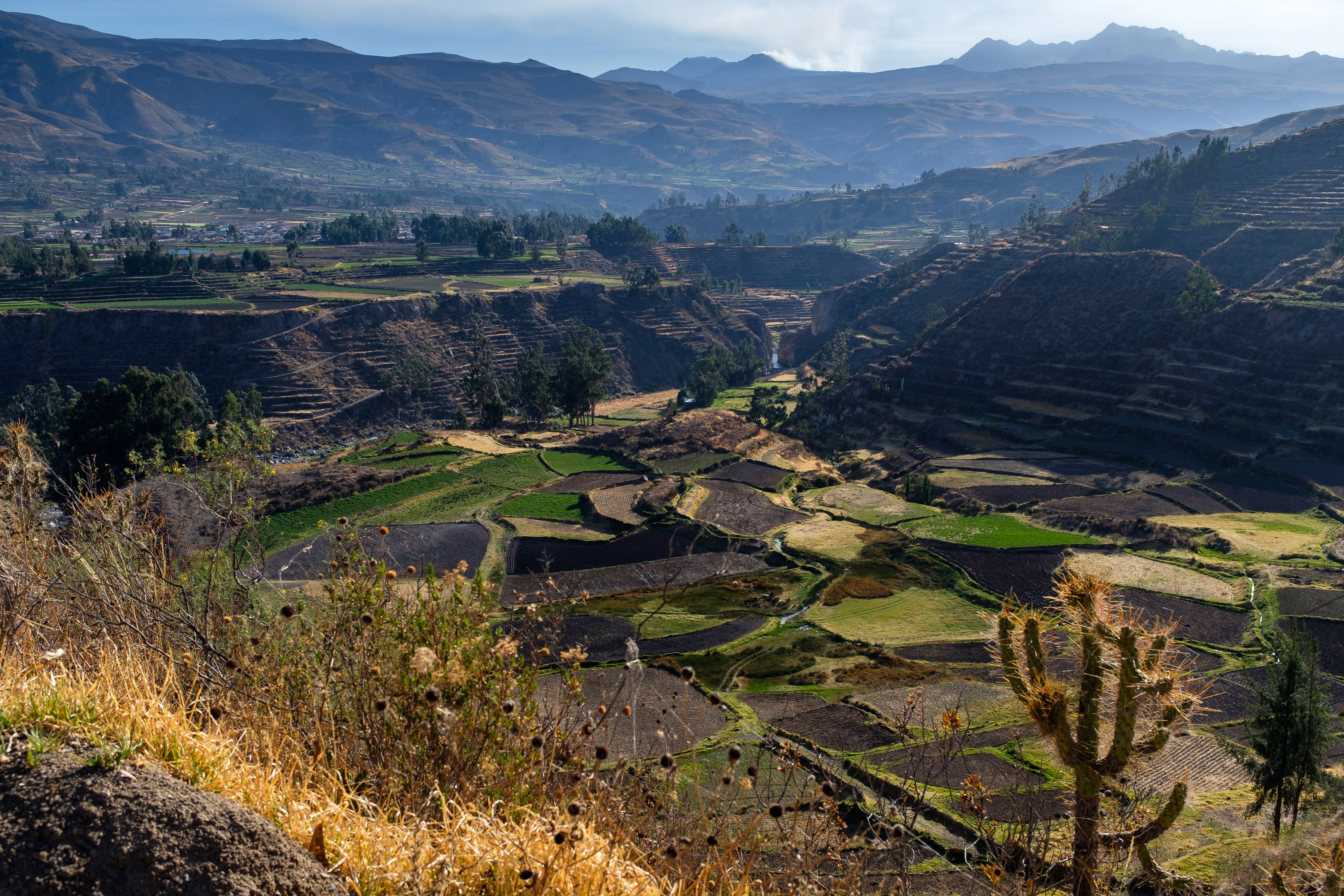 Arequipa and Colca Canyon