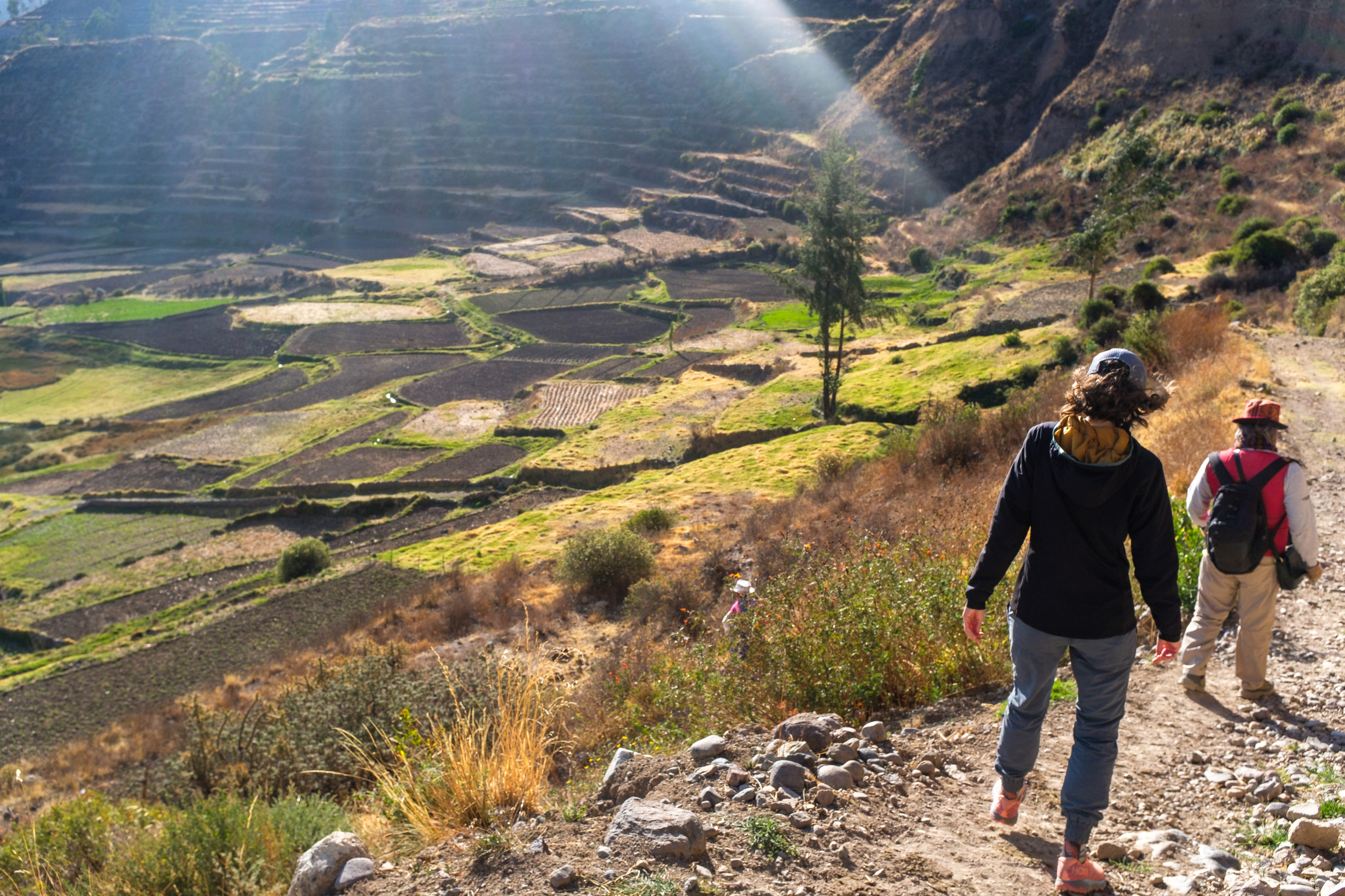 Arequipa and Colca Canyon