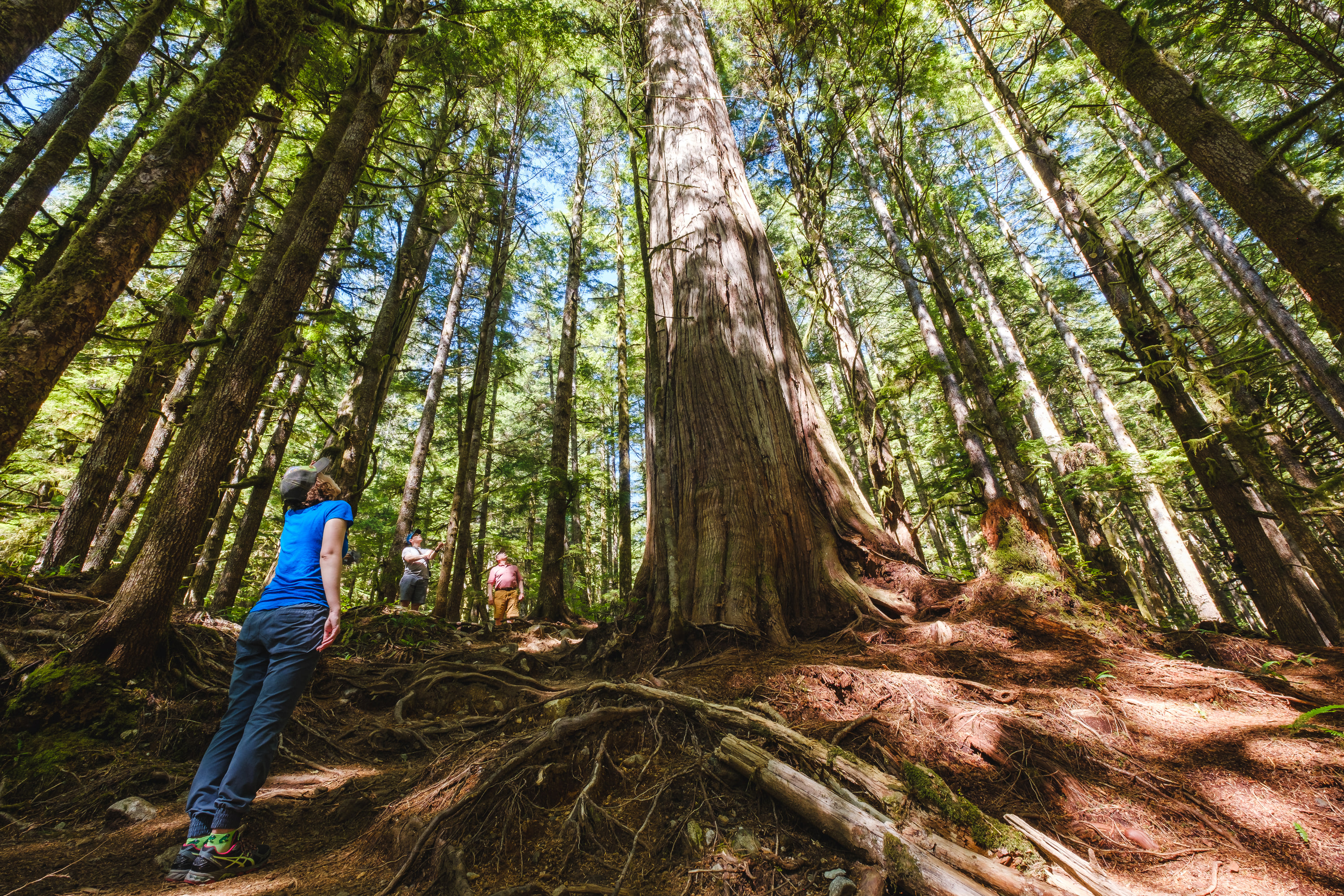 British Columbia