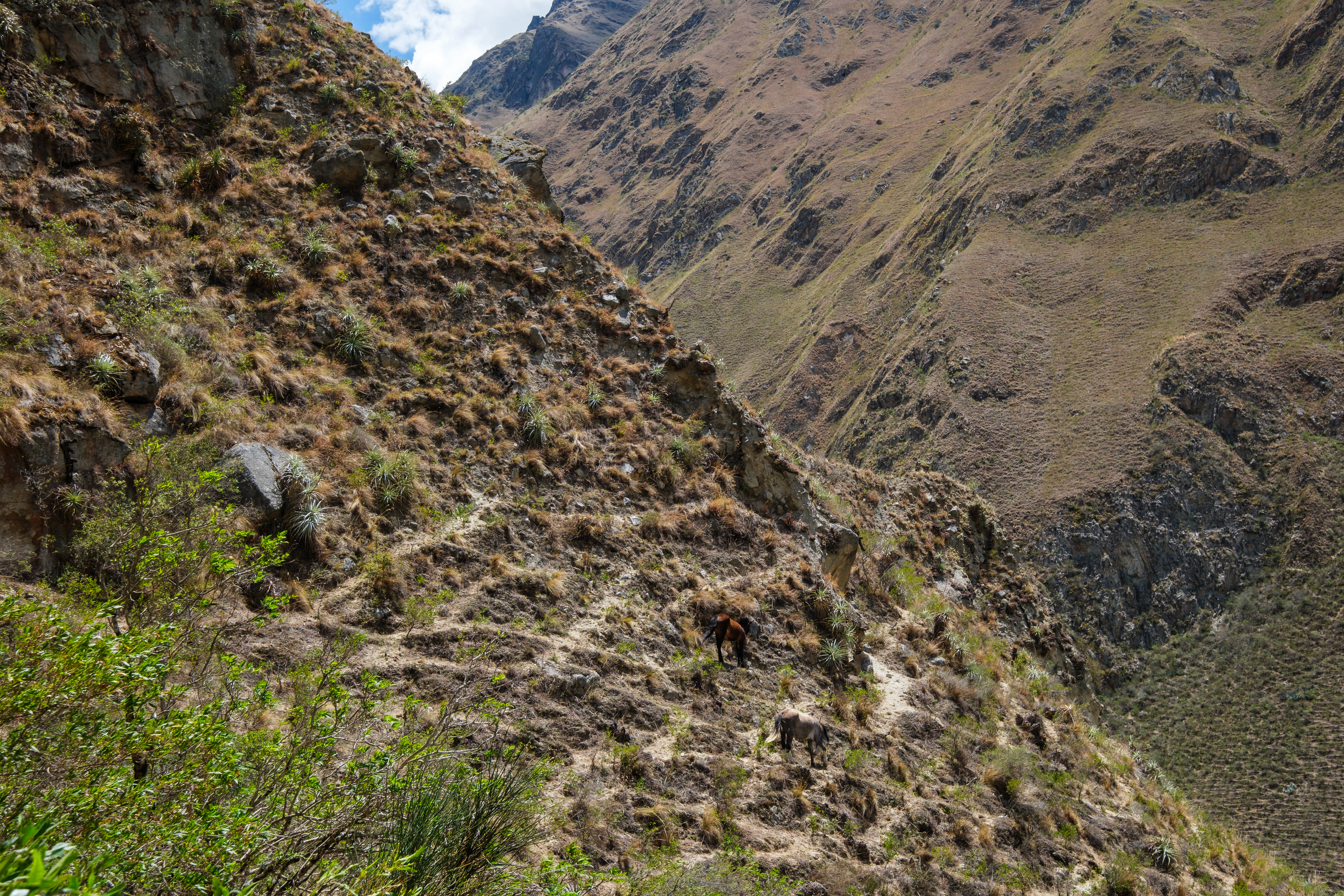 Inca Trail, Peru