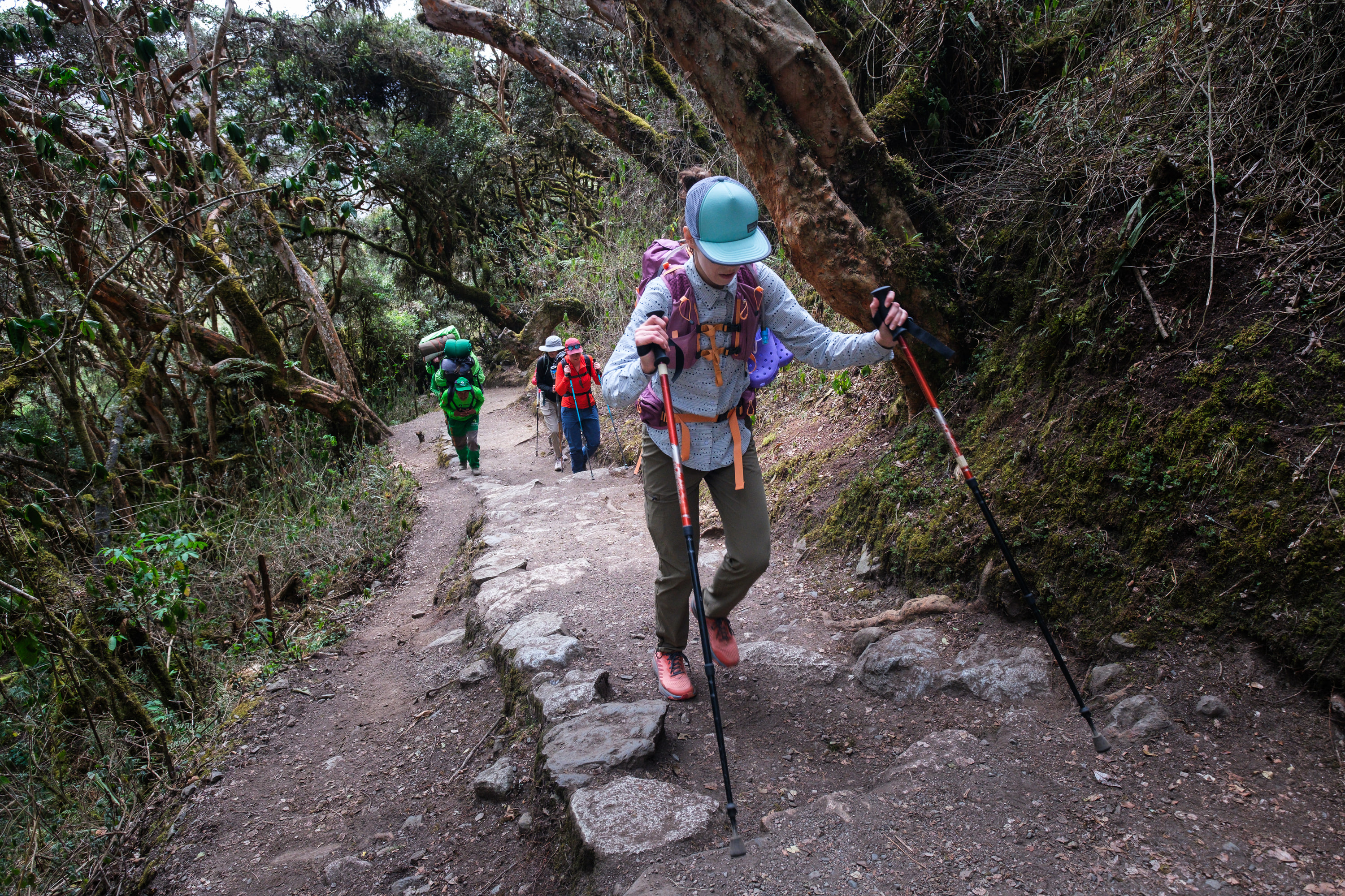 Inca Trail, Peru