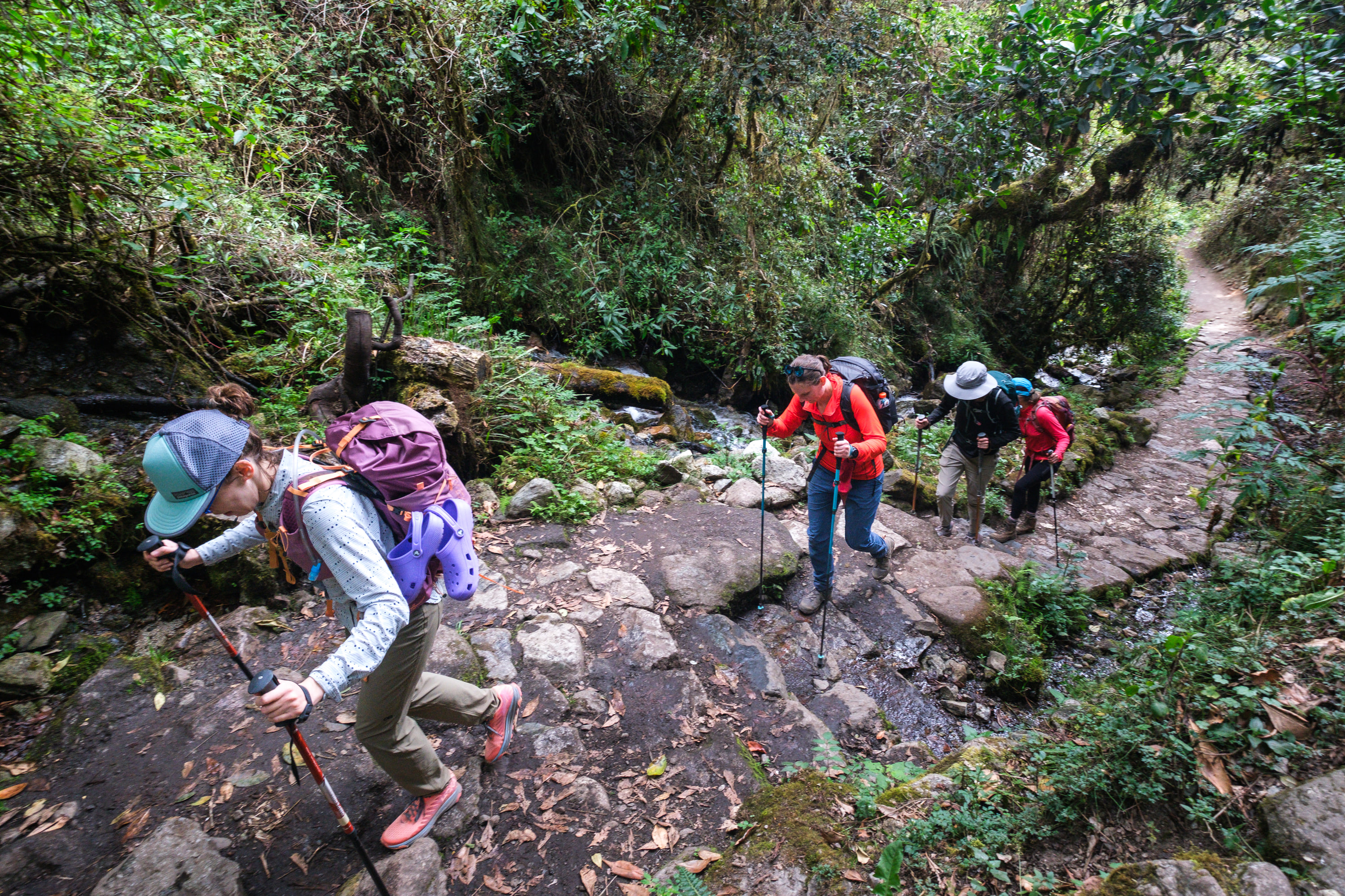 Inca Trail, Peru