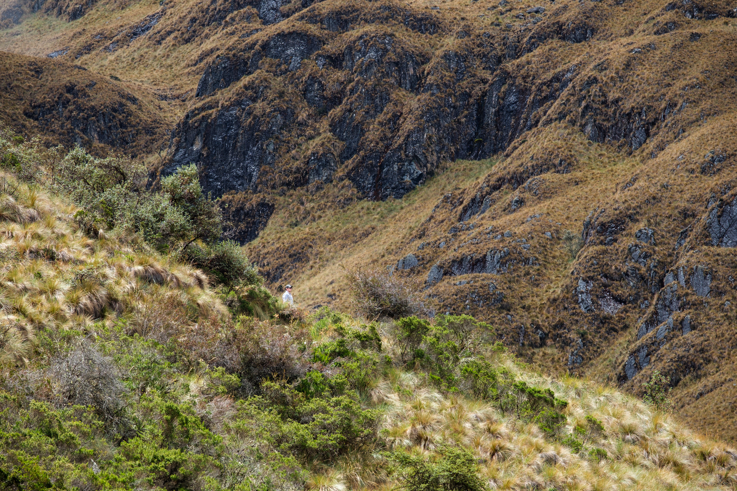 Inca Trail, Peru