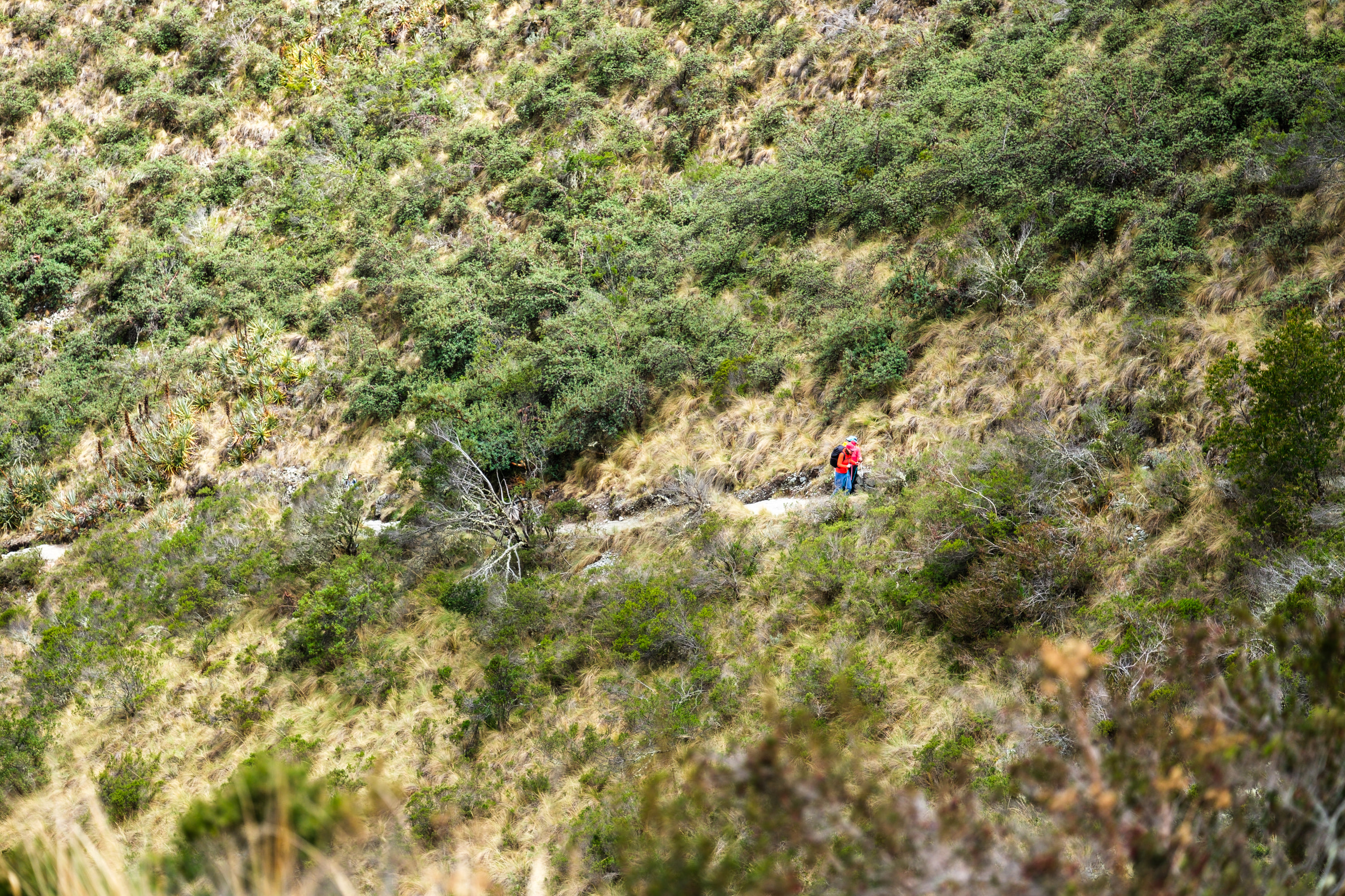 Inca Trail, Peru