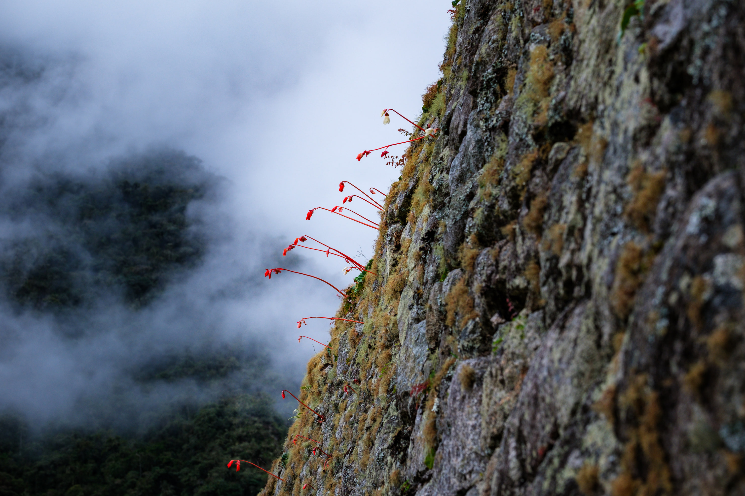 Inca Trail, Peru