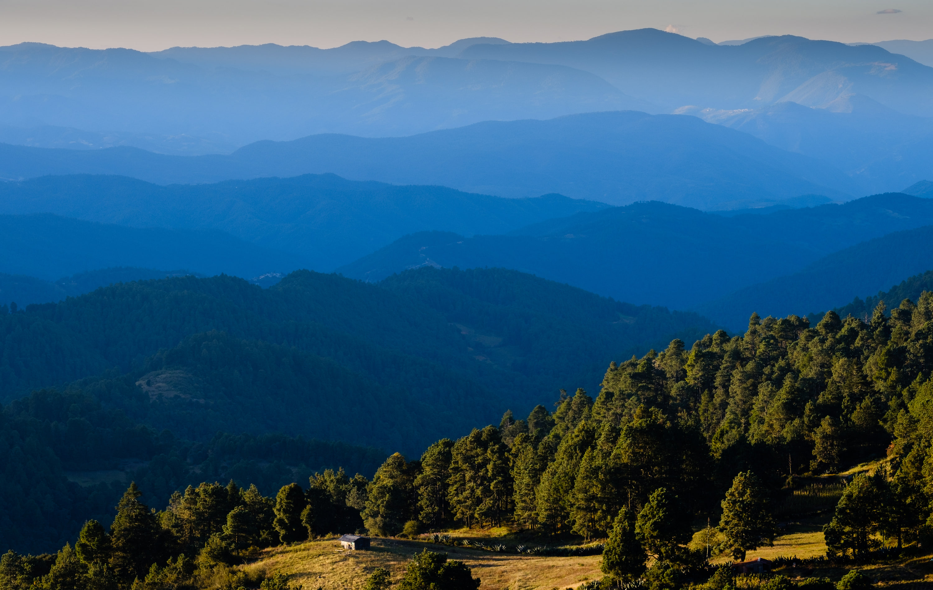 Sierra Norte, Oaxaca, Mexico
