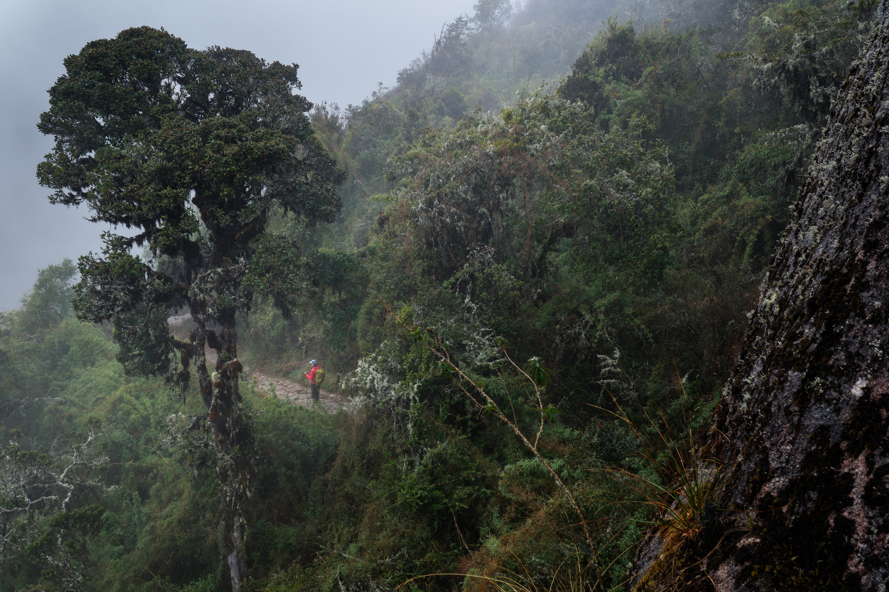 Inca Trail, Peru